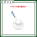 クイズです！「イラストが表す国名は？」丸い球はどうしていますか？【難易度LV２.・甘口】 画像