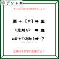 クイズです！「カッコの法則を推理して導きましょう」どんな言葉になるでしょう？【難易度LV３.・中辛】 画像