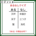 あるなしクイズです！「天秤にあって体重計にない。蟹にあって海老にない」ある側の法則とは？【難易度LV３.・中辛】 画像