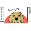 わが家のダックスフントは下半身麻痺。楽しく過ごして、気づけば上半身が…【小林一家は今日も「ま、いっか！」 #15】
