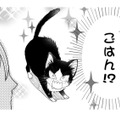【猫視点】あの人間、よくわからないけど、ごはんをくれる言葉だけはわかる!! もっとちょうだ～い【同居人はひざ、時々、頭のうえ。 #21】