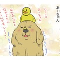 サロンでシャンプーしてもらった愛犬。もふもふに隠れて…せっかくのチョーカーはどこ？【おさんぽですし！　おしゃべり犬とイライラ猫の日記 #13】