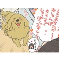 「お散歩行こうか」の声に大興奮…うれしくて何度も報告する愛犬の姿がかわいい【おさんぽですし！　おしゃべり犬とイライラ猫の日記 #17】 画像