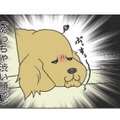ひいきはダメよ！愛犬が寝てる間に愛猫と戯れていると感じる、ぶちゃ渋い視線…【おさんぽですし！　おしゃべり犬とイライラ猫の日記 #31】