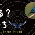 多摩六都科学館、プラネタリウム「星を見る？動物たち」5/31まで 画像