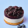 ブルーベリーレアチーズケーキ（提供写真）