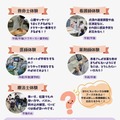 プログラム内容