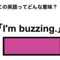 この英語ってどんな意味？「I’m buzzing.」 画像