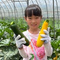 収穫体験のようす