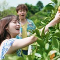 「バカンスの法則」（C）AbemaTV, Inc.
