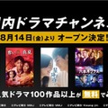 ABEMAが「国内ドラマチャンネル」開設、「星降る夜に」「ホリデイラブ」など100作品以上が無料に 画像