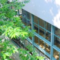【中学受験】今週末行ける中高一貫「学校見学」9/5-6…広尾学園、東洋英和など10校 画像