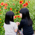 小学生におすすめのイベント…9-12月に開催、応募開始などの情報まとめ 画像