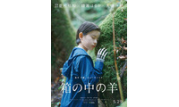 綾瀬はるか＆大悟演じる夫婦の息子役、200名超オーディションから決定『箱の中の羊』5月29日公開 画像