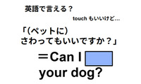 英語で「ペットに触ってもいいですか？」は何て言う？ 画像