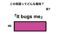 この英語ってどんな意味？「It bugs me」 画像