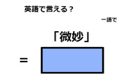 英語で「微妙」は何て言う？ 画像