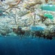 海のプラごみ、ルール作りへ 画像