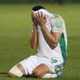 アルジェリア、W杯予選の「やり直し」を要求！審判判定に抗議 画像