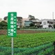 都市部の農地、最低7割は存続 画像