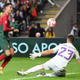 日本とW杯で激突！スペイン代表GKたちの「反射神経」がよく分かる動画 画像