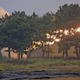 陸自、離島防衛のロケット砲訓練 画像