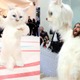 【メットガラ2023】“猫の着ぐるみ”登場 ジャレッド・レトがまさかのサプライズ 画像