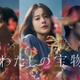 松本若菜・田中圭・深澤辰哉に“不穏な雰囲気”漂う「わたしの宝物」ポスタービジュアル解禁 画像