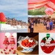 横浜赤レンガ倉庫で「Yokohama Strawberry Festival 2025」スイーツやアフヌン等“いちご尽くし”の24日間 画像