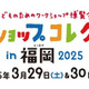 【春休み2025】ワークショップコレクション、福岡3/29-30 画像