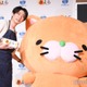 嵐・相葉雅紀、料理の腕前を生披露 司会者への掛け合いで笑い誘う 画像
