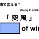 英語で「突 風」はなんて言う？ 画像