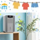 「マイ除湿器」を持つ人が増加中。この季節に欲しい家電No.1！「快適すぎてもう手放せない」「あるとなしでは大違い」 画像