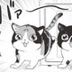 「子猫、永遠に見てられる」…里親になった子猫はわんぱく盛りに感慨…【借金1000万作曲家の人生を変えてくれた猫の話 #４】 画像