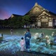 夜の京都で“納涼”アートイベント「NAKED meets 二条城 2025 夕涼み」幻想的な光演出や屋台も出店 画像