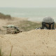 グローグーの成長を実感！『スター・ウォーズ／マンダロリアン・アンド・グローグー』待望の初映像 画像