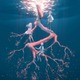 tayoriが3曲ランクイン！歌詞注目度ランキングはOWVの「BLACK CROWN」が2週連続で首位 画像