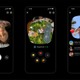 Instagram新機能「Instants」リリース 友達の閲覧後に自動削除・日常の一コマを共有可能 画像