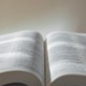 英単語や文法は知っているハズなのに…長文になると読めない！書けない‼生成AIで「英語力」が伸びるってホント？【使い方実例つき】 画像