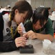 MIT学生が教えるSTEAMワークショップ、女子小中学生を募集 画像