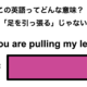 この英語ってどんな意味？「You are pulling my leg.」 画像