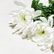 ガッツ石松さん、死去 享年76「OK牧場」生みの親・ガッツポーズ広めた元プロボクサー 画像