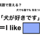 英語で「犬が好きです」は何て言う？ 画像