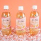 “再販希望1位”ファミマのAfternoon Tea監修「ピーチ香るティーソーダ」数量限定で復活 画像