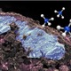リュウグウに45億年前の塩水痕跡、生命材料を生む環境か 画像