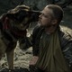 ブラッド・ピット「本当に素晴らしい」人間と犬の絆に注目『ハート・オブ・ビースト』特別映像 画像