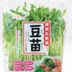その豆苗、本当に新鮮？ プロが教える「おいしい豆苗」の見分け方と長持ちさせる保存術 画像