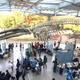「大阪自然史フェスティバル」11/14-15、大阪市立自然史博物館 画像