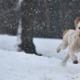 雪に包まれる札幌の練習場、公式Twitterの紹介に配慮があふれる 画像