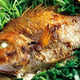鯛も筍もいまの時期が最も旨い！ 旬の食材を美味しく食べさせてくれる和食店４選 画像